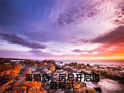 离婚后，厉总开启追妻模式(厉斯珩秦笙)全文免费阅读无弹窗大结局_（厉斯珩秦笙）的小说（离婚后，厉总开启追妻模式）最新章节列表