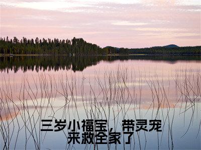 江妙妙小说(三岁小福宝,带灵宠来救全家了)全文免费阅读无弹窗大结局_三岁小福宝,带灵宠来救全家了小说最新章节列表_笔趣阁(江妙妙)