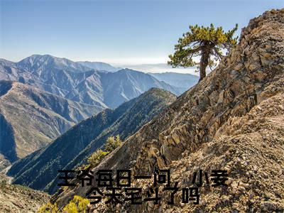 江锦心小说王爷每日一问,小妾今天宅斗了吗全章节阅读-主角为江锦心的小说叫什么王爷每日一问,小妾今天宅斗了吗
