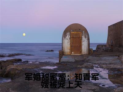 沈安念秦正祁小说全文免费阅读大结局-军婚甜蜜蜜:知青军嫂被宠上天最新章节列表免费阅读