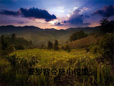 离婚警告！总裁前夫别傲娇全文免费阅读无弹窗大结局_( 安岁容令施免费阅读)离婚警告！总裁前夫别傲娇最新章节列表_笔趣阁