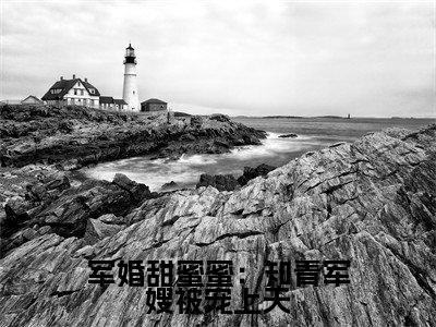 军婚甜蜜蜜:知青军嫂被宠上天精彩小说赏析全文 沈安念秦正祁热门小说免费阅读