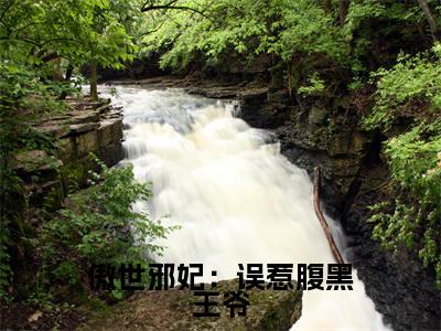 傲世邪妃：误惹腹黑王爷（风惊落帝流夙免费阅读无弹窗）风惊落帝流夙最新章节列表_笔趣阁