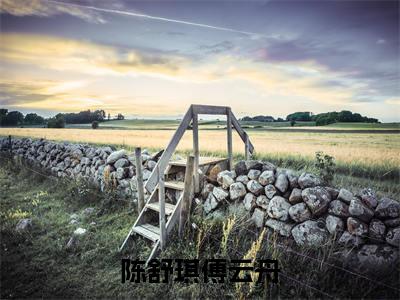 傅云舟陈舒琪(陈舒琪傅云舟)免费小说完整版阅读-(傅云舟陈舒琪)最新章节在线阅读