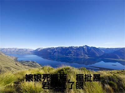 经典小说娘娘死遁后，疯批暴君哭红了眼无广告小说免费阅读 叶晚棠谢韫臣全章节免费阅读