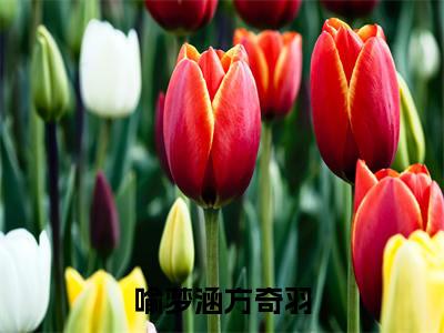 方奇羽喻梦涵(喻梦涵方奇羽)免费小说全文完整版-喻梦涵方奇羽最新章节完整版阅读
