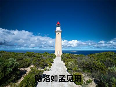 陈洛如孟见琛小说免费阅读 孟见琛陈洛如免费阅读无弹窗小说