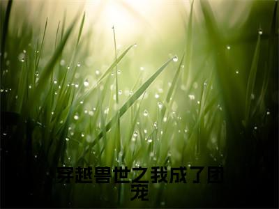 穿越兽世之我成了团宠(阿丽)最新章节阅读-热点小说榜单推荐阿丽