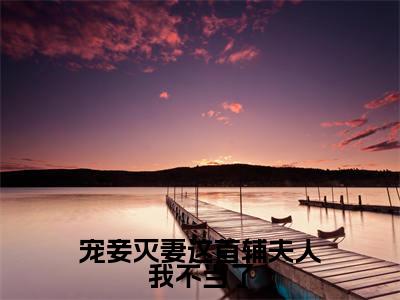 宠妾灭妻这首辅夫人我不当了美文欣赏完整版，苏青玉云奕霄精彩章节在线阅读