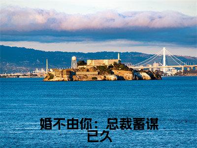(婚不由你:总裁蓄谋已久)向幽姿霍霆亨小说全文免费阅读无弹窗大结局_向幽姿霍霆亨(婚不由你:总裁蓄谋已久)最新章节列表笔趣阁