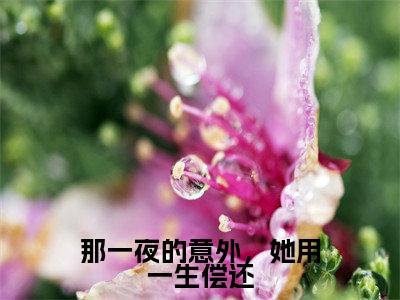新书热荐那一夜的意外，她用一生偿还全集小说完整版大结局-小说姜苒顾宵全文完整版免费阅读