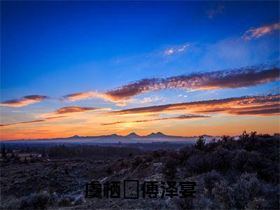 虞栖玥傅泽宴(傅泽宴虞栖玥)小说免费阅读在线阅读_虞栖玥傅泽宴全文免费阅读_笔趣阁