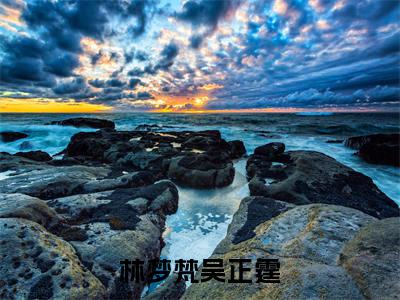 （吴正霆林梦梵）林梦梵吴正霆全文免费阅读无弹窗大结局_(林梦梵吴正霆)吴正霆林梦梵免费阅读无弹窗最新章节列表_笔趣阁（林梦梵吴正霆）