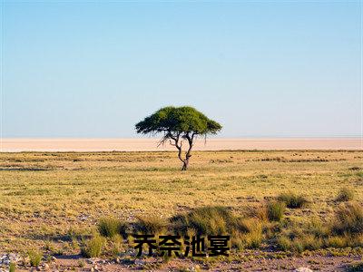 乔奈池宴全文(池宴乔奈)全文免费阅读无弹窗大结局_(池宴乔奈)乔奈池宴最新章节列表笔趣阁(池宴乔奈)