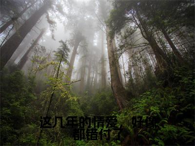 这几年的情爱,好像都错付了(袁晓晓裴域)全文免费阅读无弹窗大结局_这几年的情爱,好像都错付了全文免费阅读_笔趣阁