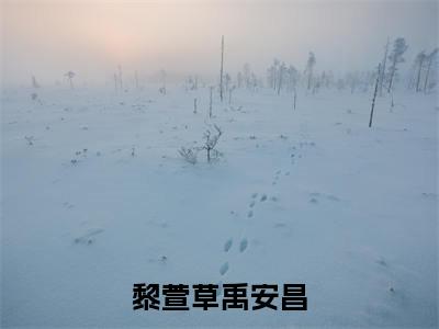 禹安昌黎萱草(黎萱草禹安昌)完整全文在线阅读_黎萱草禹安昌小说全章节目录阅读(禹安昌黎萱草)