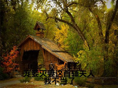 宠妾灭妻这首辅夫人我不当了（苏青玉云奕霄）全文免费阅读-宠妾灭妻这首辅夫人我不当了（苏青玉云奕霄）最新章节小说阅读