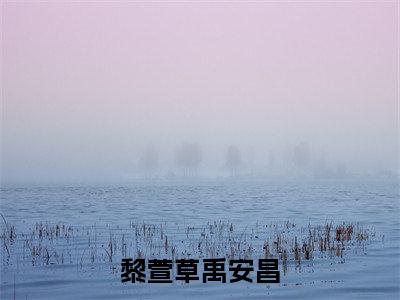 黎萱草禹安昌全文免费阅读无弹窗大结局-禹安昌黎萱草最新章节列表_笔趣阁(黎萱草禹安昌)