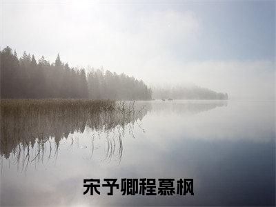 宋予卿程慕枫(程慕枫宋予卿)全文免费阅读无弹窗大结局_(程慕枫宋予卿免费阅读全文大结局)最新章节列表_笔趣阁(宋予卿程慕枫)