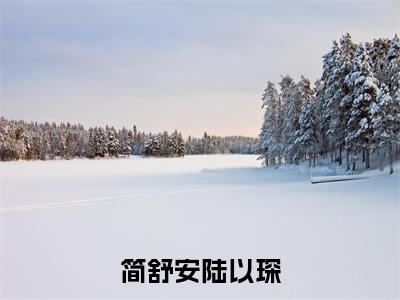 简舒安陆以琛免费小说,简舒安陆以琛全文免费阅读无弹窗大结局