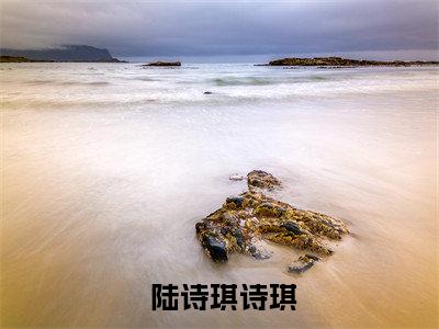  陆诗琪诗琪小说免费下载阅读_(如梦神医) 陆诗琪诗琪最新章节列表_笔趣阁（如梦神医）