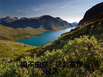 婚不由你:总裁蓄谋已久(向幽姿霍霆亨全章节完整版)免费阅读-婚不由你:总裁蓄谋已久全文无删减阅读