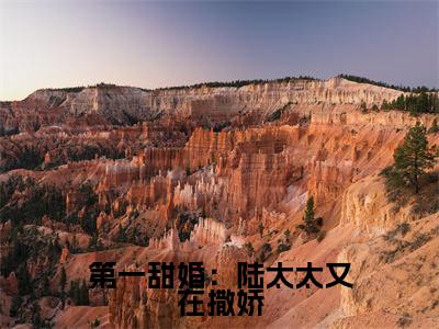 周绵绵陆书俊(第一甜婚：陆太太又在撒娇)全文免费阅读_第一甜婚：陆太太又在撒娇(周绵绵陆书俊)全文阅读_笔趣阁（第一甜婚：陆太太又在撒娇）