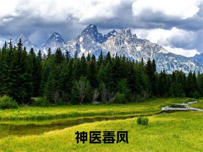 小说神医毒凤全文免费阅读无弹窗_(沈墨染萧夜白完结)神医毒凤小说免费阅读无弹窗最新章节列表_笔趣阁