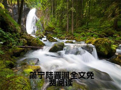 系统摆烂？没关系，我卷王侦探（ 简宁陆晋渊全章节完整版）免费阅读_系统摆烂？没关系，我卷王侦探（ 简宁陆晋渊）最新章节列表笔趣阁（系统摆烂？没关系，我卷王侦探）