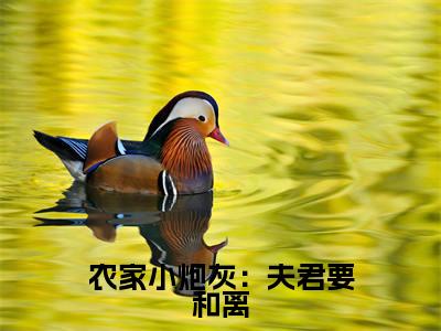 农家小炮灰:夫君要和离小说:(农家小炮灰:夫君要和离)全文免费阅读无弹窗大结局_许静小说:农家小炮灰:夫君要和离最新章节列表_笔趣阁(许静)
