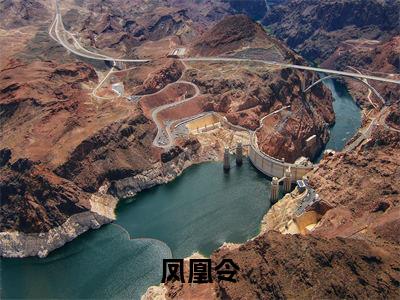 凤凰令洛少渊温蕴免费阅读无弹窗最新章节列表-(凤凰令)洛少渊温蕴全文免费阅读大结局笔趣阁(凤凰令)
