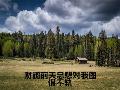 舒窈窈褚辞末小说免费阅读-财阀前夫总想对我图谋不轨言情小说舒窈窈褚辞末讲的是什么