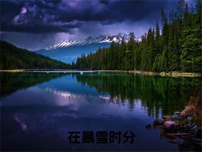 在暴雪时分全集章节小说免费阅读完整版(殷果林亦扬)-殷果林亦扬小说免费阅读