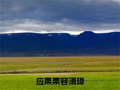 应栗栗容清璋(容清璋应栗栗)全文免费阅读无弹窗大结局_(容清璋应栗栗全文在线阅读)应栗栗容清璋最新章节列表_笔趣阁(容清璋应栗栗)