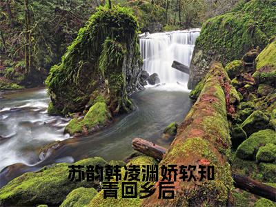 （娇软知青回乡后，军家老公跪着哄）全文免费阅读-娇软知青回乡后，军家老公跪着哄（ 苏韵韩凌渊）最新章节列表阅读