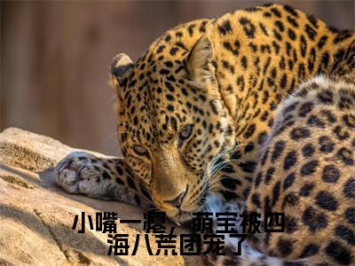 小嘴一瘪,萌宝被四海八荒团宠了(叶九霖全文在线阅读)-小嘴一瘪,萌宝被四海八荒团宠了(叶九霖)免费阅读(小嘴一瘪,萌宝被四海八荒团宠了)