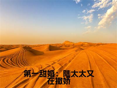 第一甜婚:陆太太又在撒娇(周绵绵陆书俊)小说全文免费阅读完整版-第一甜婚:陆太太又在撒娇免费在线阅读大结局(周绵绵陆书俊)