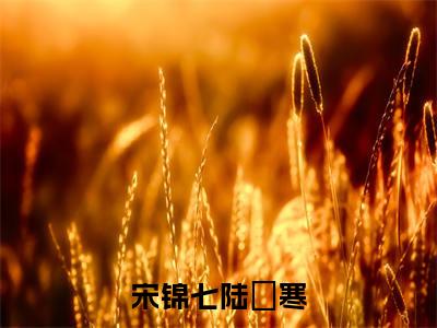 小说（宋锦七陆璟寒）陆璟寒宋锦七全文阅读-宋锦七陆璟寒（陆璟寒宋锦七）老书虫书荒推荐热点小说