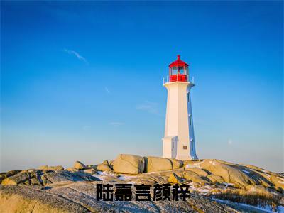 小说名字是:陆嘉言颜梓小说免费阅读无弹窗,小说名字是:颜梓陆嘉言的小说在线阅读无删减