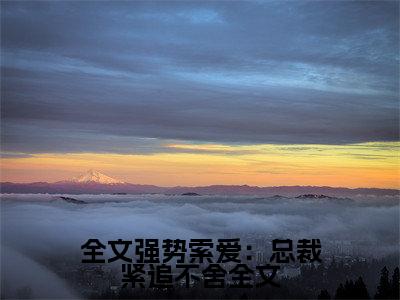 全文强势索爱：总裁紧追不舍（ 南希沈墨迟）小说全文免费阅读无弹窗大结局_（ 南希沈墨迟）全文强势索爱：总裁紧追不舍最新章节列表（全文强势索爱：总裁紧追不舍）