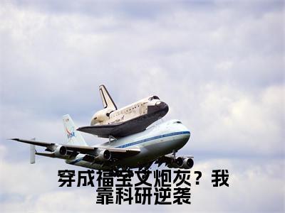 穿成福宝文炮灰？我靠科研逆袭全网首发最新小说-陆微尘全文在线免费阅读
