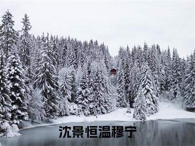 沈景恒温穆宁小说免费阅读(温穆宁沈景恒)全文免费阅读大结局-(沈景恒温穆宁小说免费阅读)好书推荐