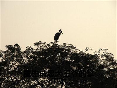  沈念汐慕君染（重生成忠犬王爷的掌中娇）全文免费阅读无弹窗大结局_重生成忠犬王爷的掌中娇最新章节列表_笔趣阁