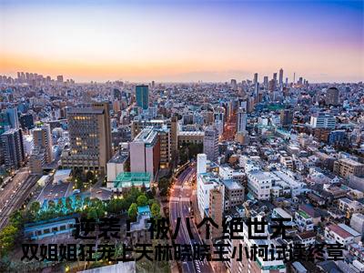 逆袭！被八个绝世无双姐姐狂宠上天林晓晓王小柯试读终章小说（ 林晓晓王小柯）全文免费阅读无弹窗大结局_（逆袭！被八个绝世无双姐姐狂宠上天林晓晓王小柯试读终章） 林晓晓王小柯小说最新章节列表_笔趣阁（ 林晓晓王小柯）