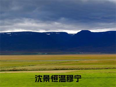 小说《沈景恒温穆宁》全文免费阅读无弹窗-温穆宁沈景恒小说全文在线赏析