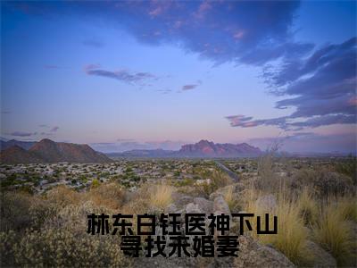 医神下山寻找未婚妻在线阅读无弹窗_ 林东白钰最新章节列表_笔趣阁