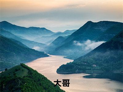 沈天和(大哥)全文无弹窗大结局_沈天和小说最新章节列表