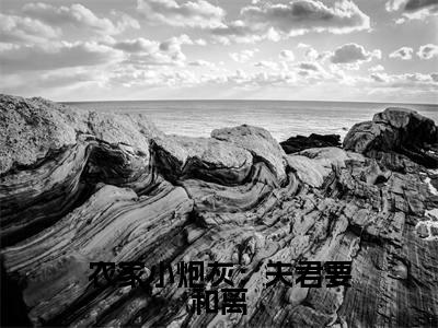 许静(农家小炮灰:夫君要和离)火热新书无弹窗大结局_(许静)农家小炮灰:夫君要和离最新章节列表_笔趣阁