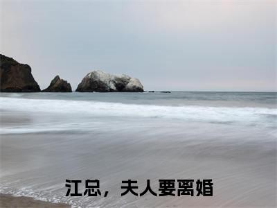 江总，夫人要离婚（乔宁江辰禹小说全文）在线阅读无弹窗大结局-江总，夫人要离婚全文无删减版阅读