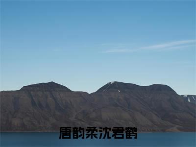 沈君鹤唐韵柔(唐韵柔沈君鹤)未删减-沈君鹤唐韵柔完结版阅读地址